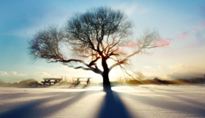 热刺主场压哨绝杀，夺得三分