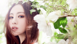 伯恩茅斯大胜对手，继续向前冲